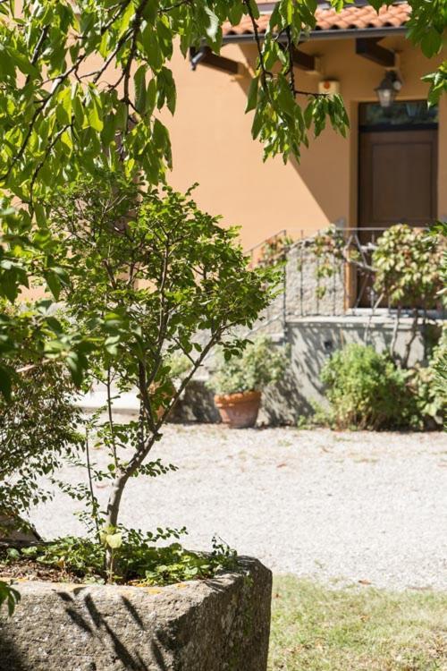 B&B Murolungo Σαν Λάτζαρο ντι Σάβενα Εξωτερικό φωτογραφία